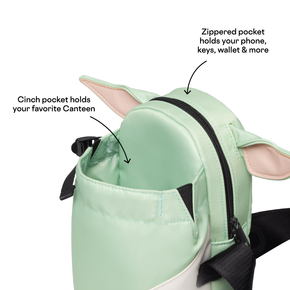 disney-sling-n6 53593b3e49e2--Sling-PDP-4.png