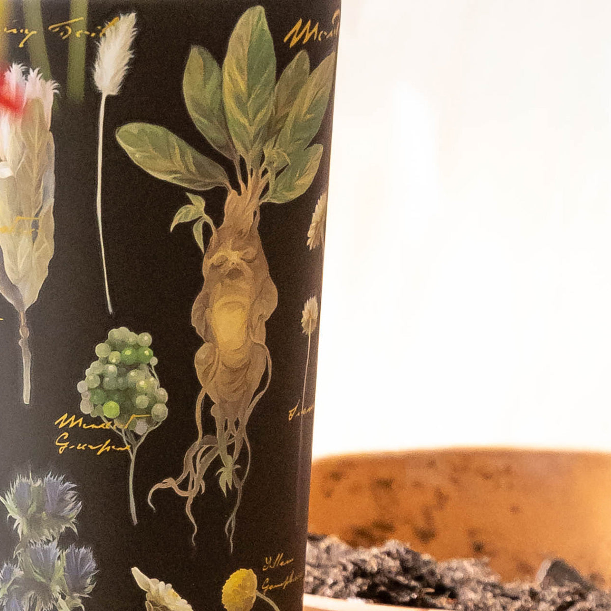 harry-potter-cold-cup-p4 Herbology-3.jpg