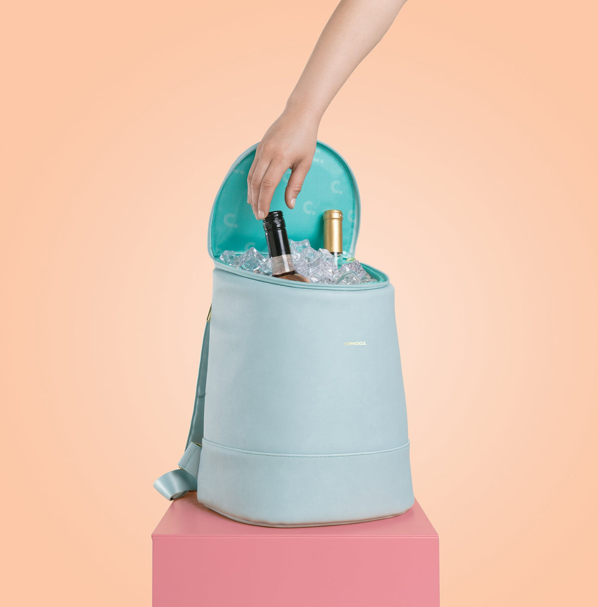eola-bucket-cooler-bag-o9 a405954e83cf--EOLA-Bucket-copy.jpg