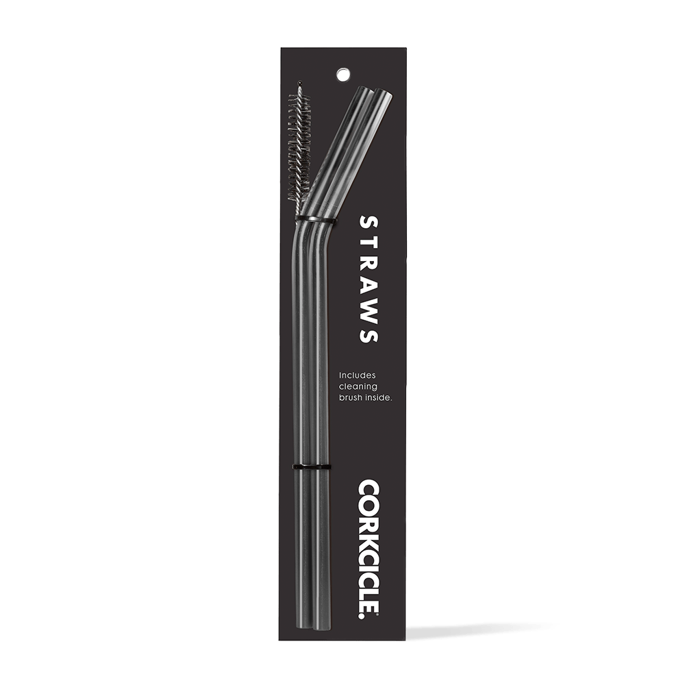 tumbler-straw-2-pack-w6 gunmetal.png